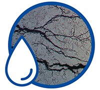 氨应力腐蚀开裂