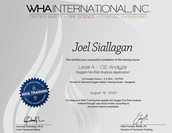 Joel Siallagan - Certificate Of Completion - Level 4 O2 Analyze Virtual On Demand