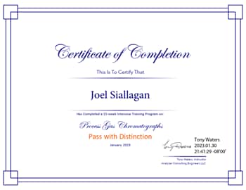 Joel Siallagan - Certificate Of Completion - Process Gas Chromatography