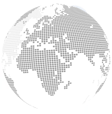 Globe icon